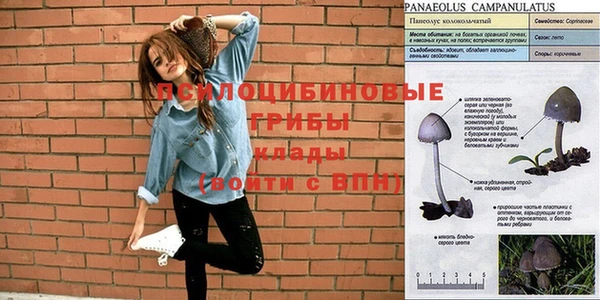 каннабис Алексеевка