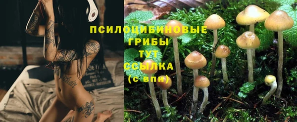 прущий лед Алексин