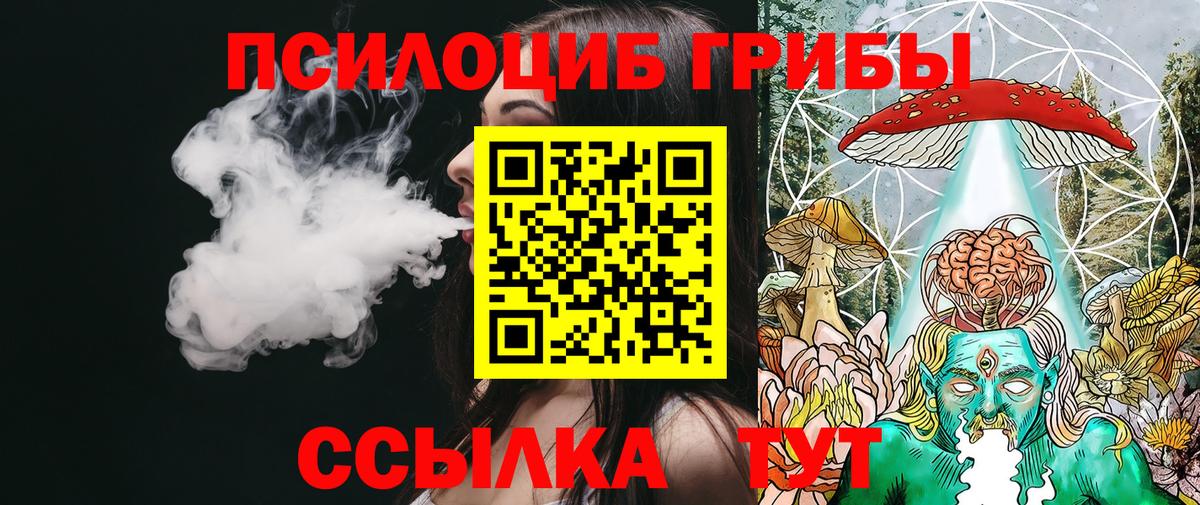 Подольск  Псилоцибиновые грибы мухоморы  Вход с VPN 