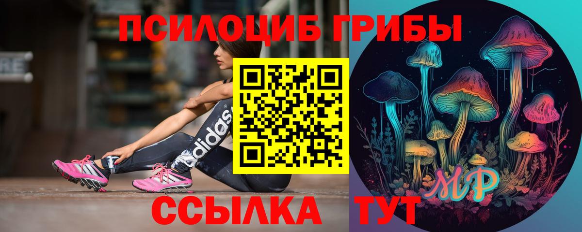 Псилоцибиновые грибы Magic Shrooms Подольск