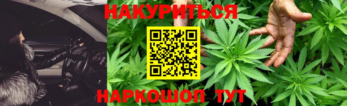 Подольск  Шишки марихуана планчик  Вход с VPN  Шишки марихуана план  Бошки марихуана индика 